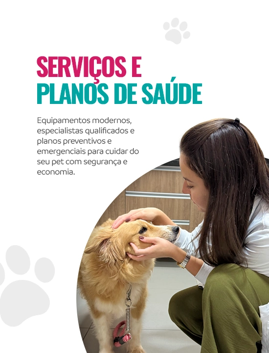 Banner 2 - Serviços